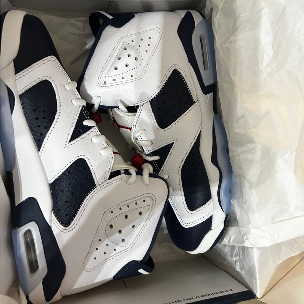 Jordan Retro 6